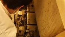 1492293033394.jpg 掃除 e1632356675505