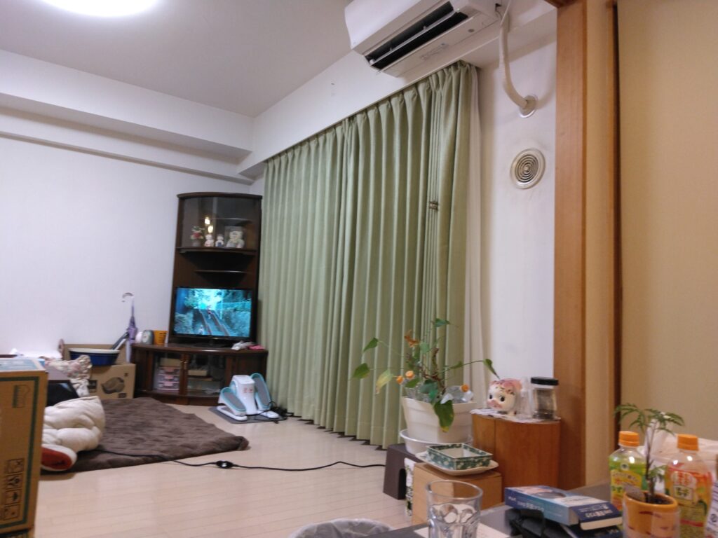 Img 20230125 194738 (1)