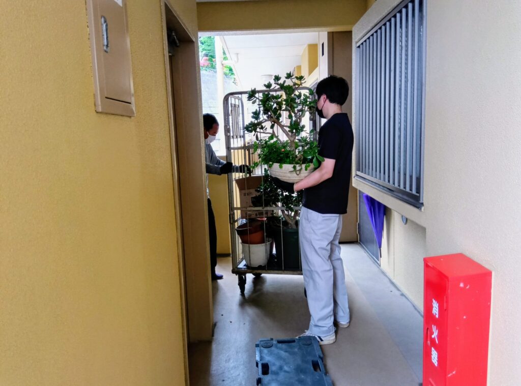 Bb930644 4d27 49b2 aa6b 82c50d609a921 scaled