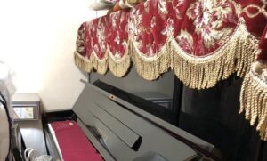 1681965014466 e1734167393308